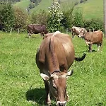 Stella Alpina, Skipass Inkl * Oberstaufen